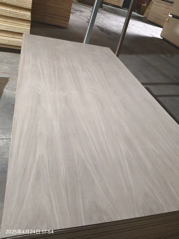Kommerciel krydsfiner Poplar krydsfiner eukalyptus krydsfiner