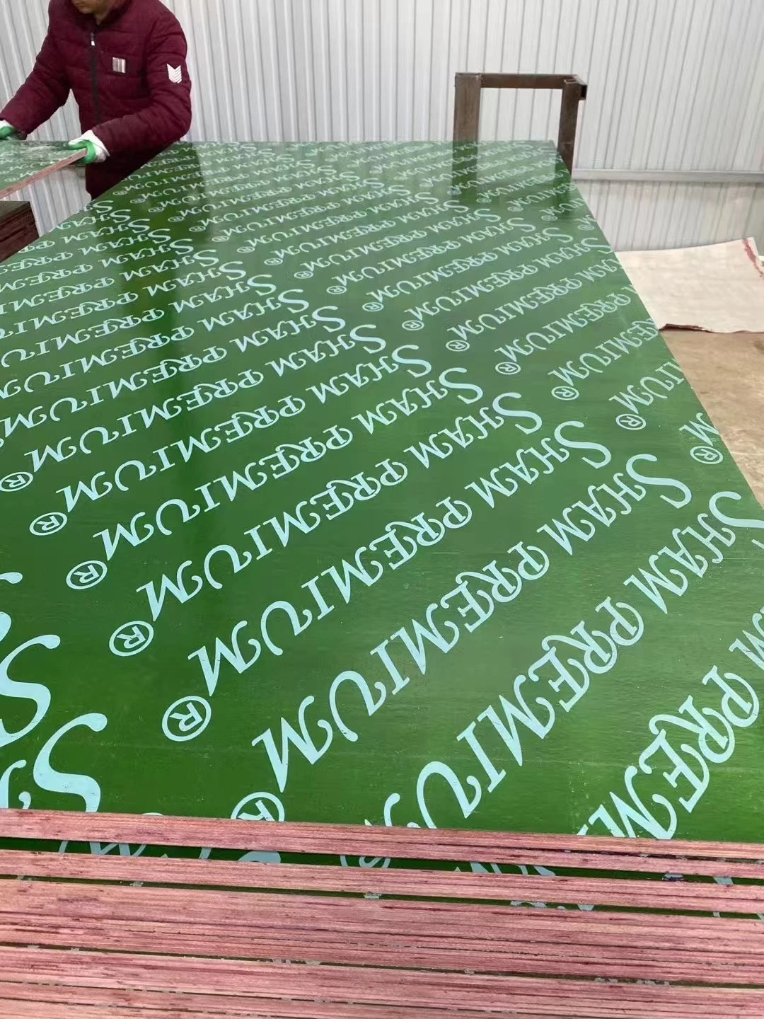 Green PP Plastic Marine Plywood Sheet